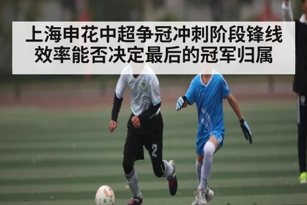上海申花中超争冠冲刺阶段锋线效率能否决定最后的冠军归属