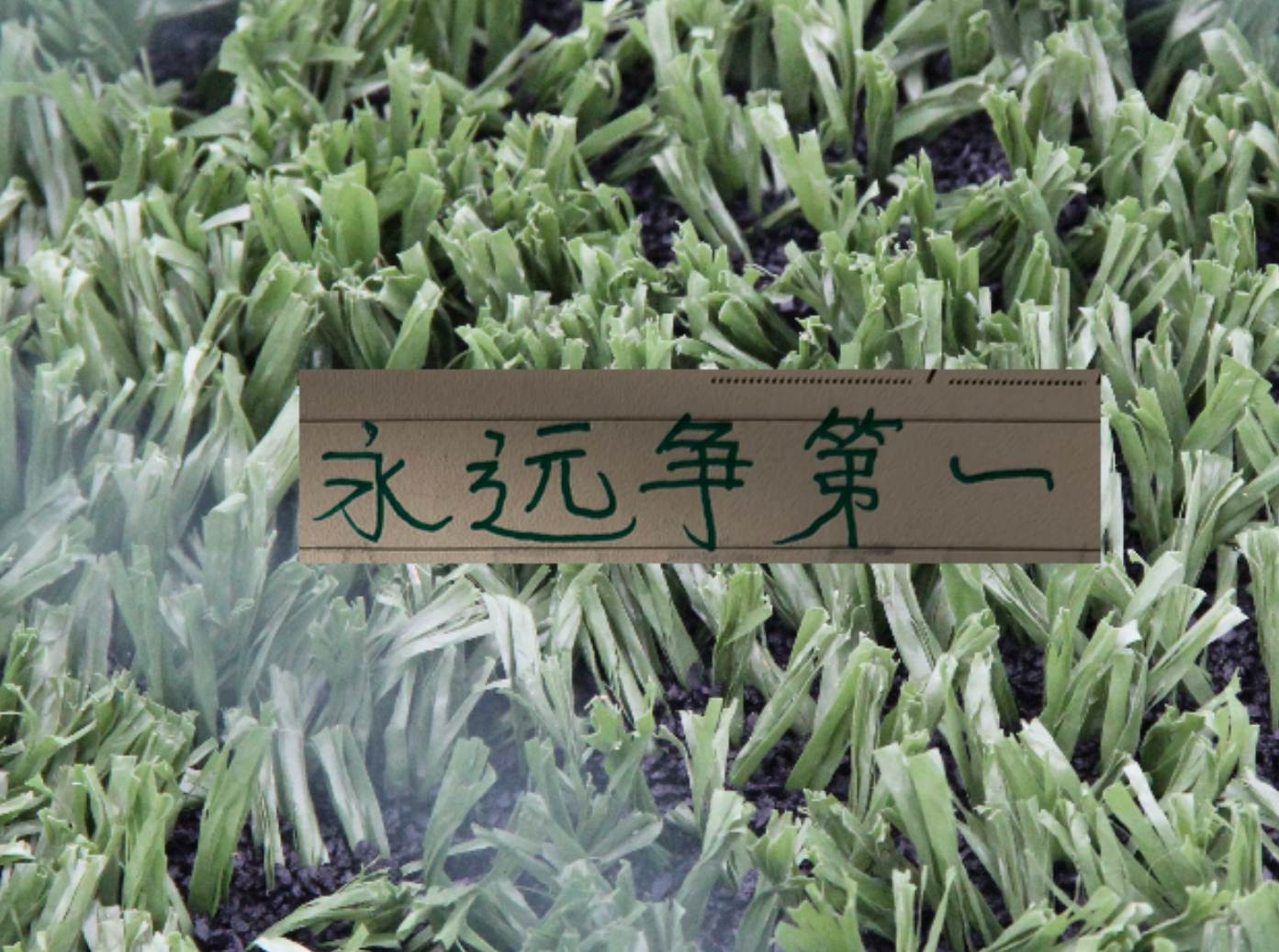 必一运动官网-连续收割3个中超冠军！再加第一跑男